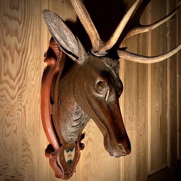 Trophée Cerf XVIII ème Bois Sculpté Alpes Suisse – Image 2